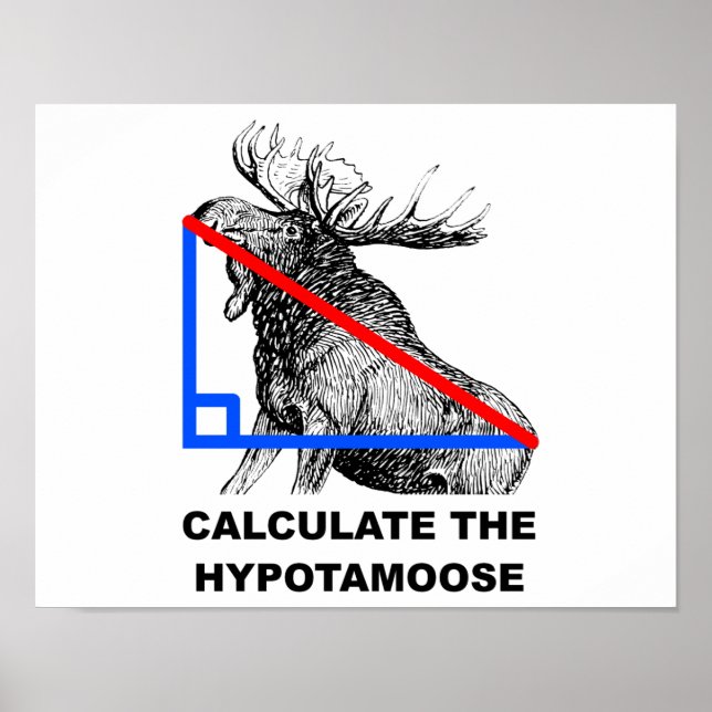 Poster Calculer l'affiche amusante de l'hypotamose (Devant)