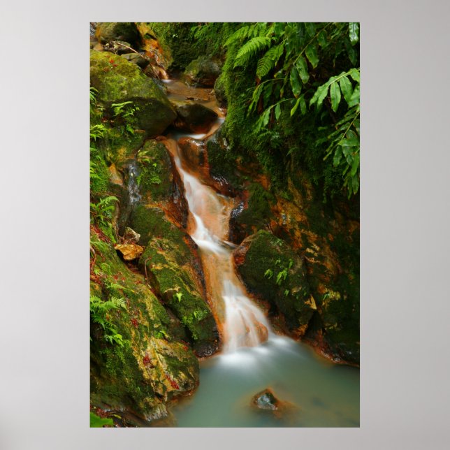 Poster Caldeira Velha, Açores (Devant)