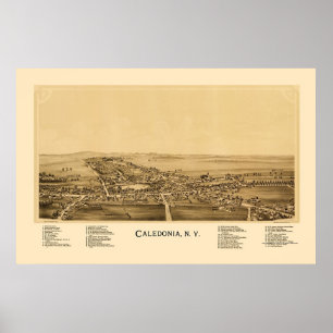 Poster Caledonia, NY Carte panoramique - 1892