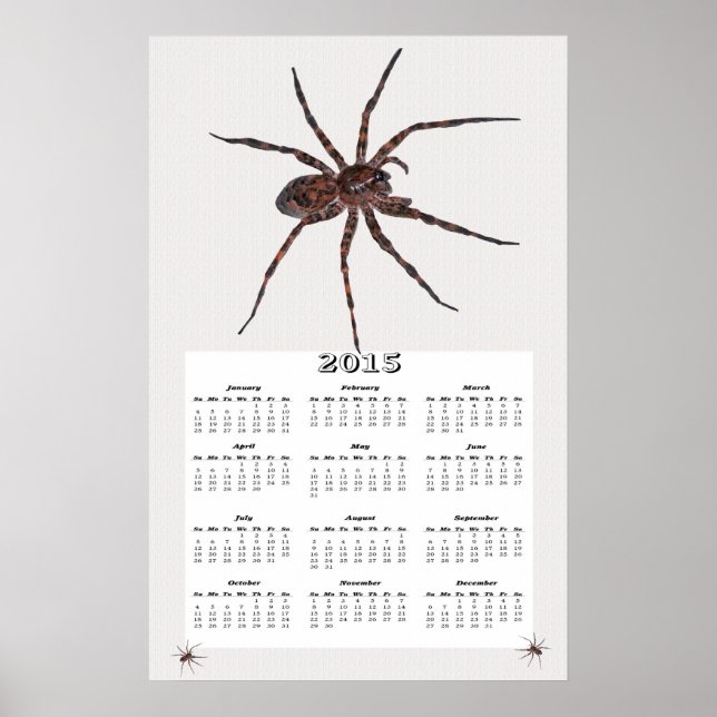 Poster Calendrier 2015 de l'araignée loup (Devant)