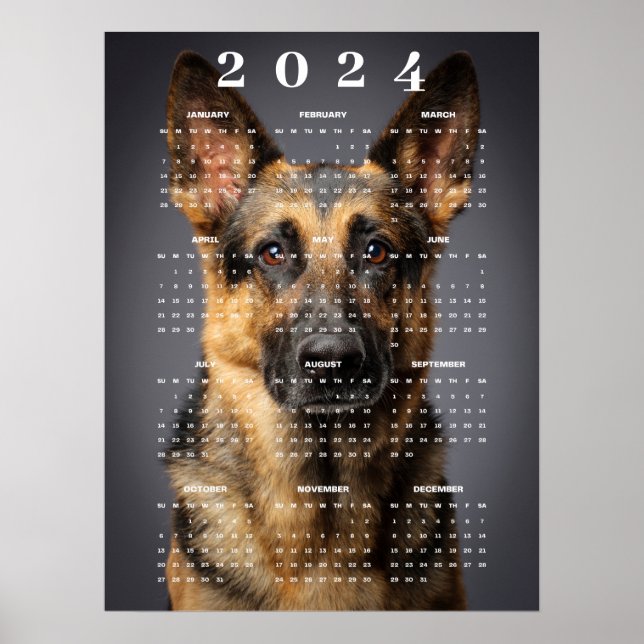 Poster Calendrier 2024 de chiens de race pure Berger Alle (Devant)