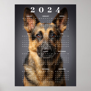 Poster Calendrier 2024 de photos de chiens de race pure B