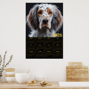 Poster Calendrier 2026 Setter Anglais Élégant