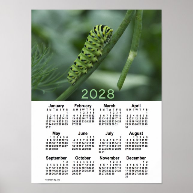 Poster Calendrier 2028 de la chenille d'avale par Janz (Devant)