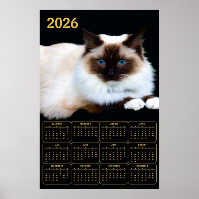 Poster Calendrier Chat Birman 2026  (Devant)