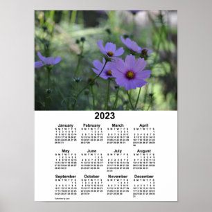 Poster Calendrier Cosmos 2023 par Janz