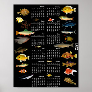 Poster Calendrier des poissons comme