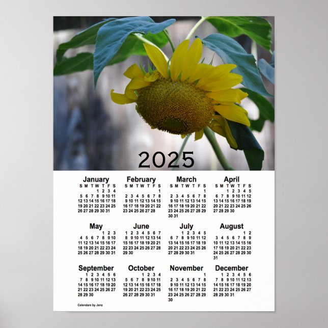 Poster Calendrier des tournesols 2025 par Janz (Devant)