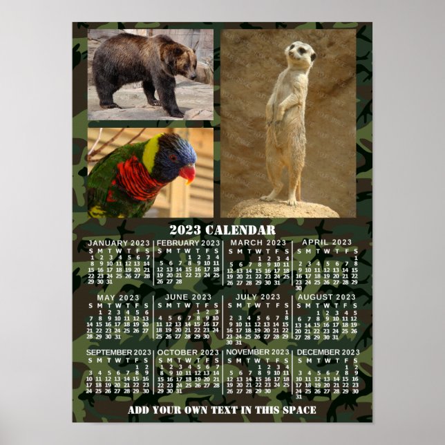 Poster Calendrier mensuel de l'année 2023 Camouflage Ajou (Devant)