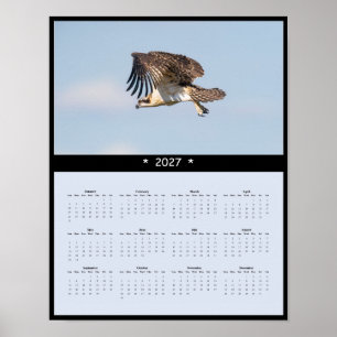 Poster Calendrier mural 027 Balbuzard - Raptors pêcheurs