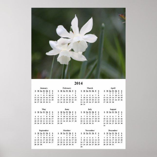 Poster Calendrier mural 2014 Jonquilles blanches (Devant)