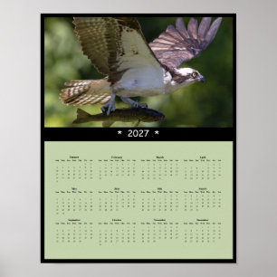 Poster Calendrier Mural 2027 Balbuzard - Faune en Vol