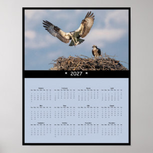 Poster Calendrier Mural 2027 Balbuzard - Rapaces Majestue