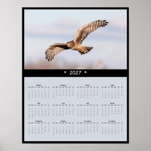 Poster Calendrier mural 2027 Busard Saint-Martin - Marsh 