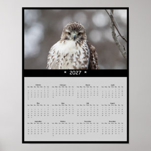 Poster Calendrier mural 2027 Buse à queue rousse Chasseur