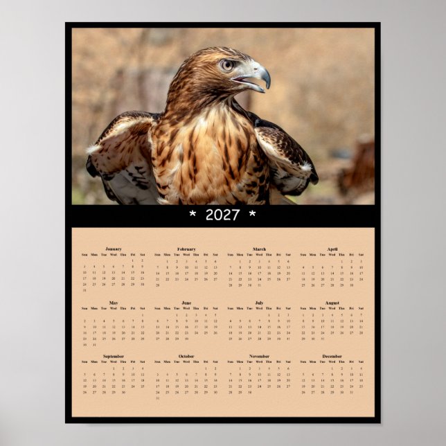 Poster Calendrier Mural 2027 Buse à queue rousse - Raptor (Devant)