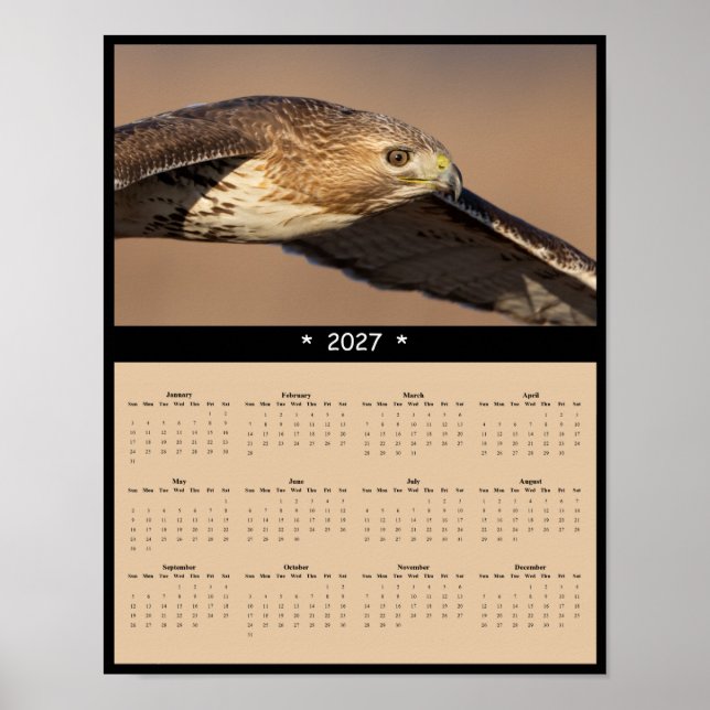 Poster Calendrier mural 2027 Buse à queue rousse - Raptor (Devant)