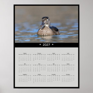 Poster Calendrier mural 2027 Canard branchu - Sauvagine c