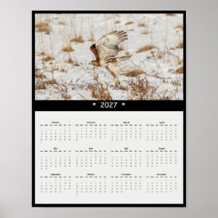 Poster Calendrier mural 2027 de la Buse à queue rousse -
