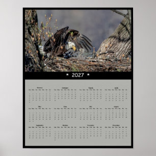Poster Calendrier mural 2027 de l'Aigle américain - Gardi