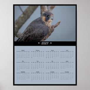 Poster Calendrier mural 2027 du faucon pèlerin