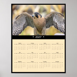 Poster Calendrier mural 2027 Faucon pèlerin - Chasseur du