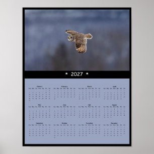 Poster Calendrier Mural 2027 Hibou des Marais - Chasse au