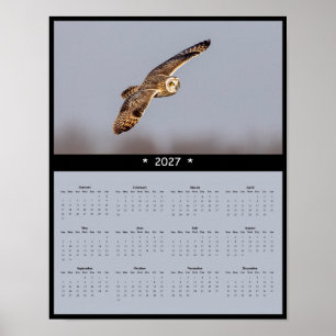 Poster Calendrier Mural 2027 Hibou des Marais : Vol de la