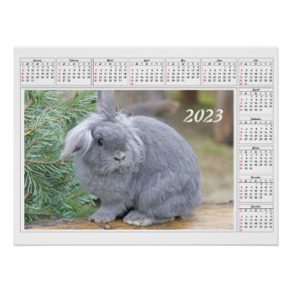 Poster Calendrier pour le lapin gris mou 2023