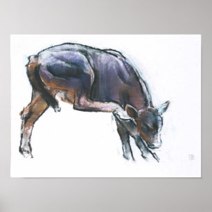 Poster Calf 2006
