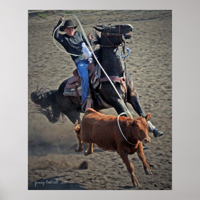 Poster Calf Roper (Devant)