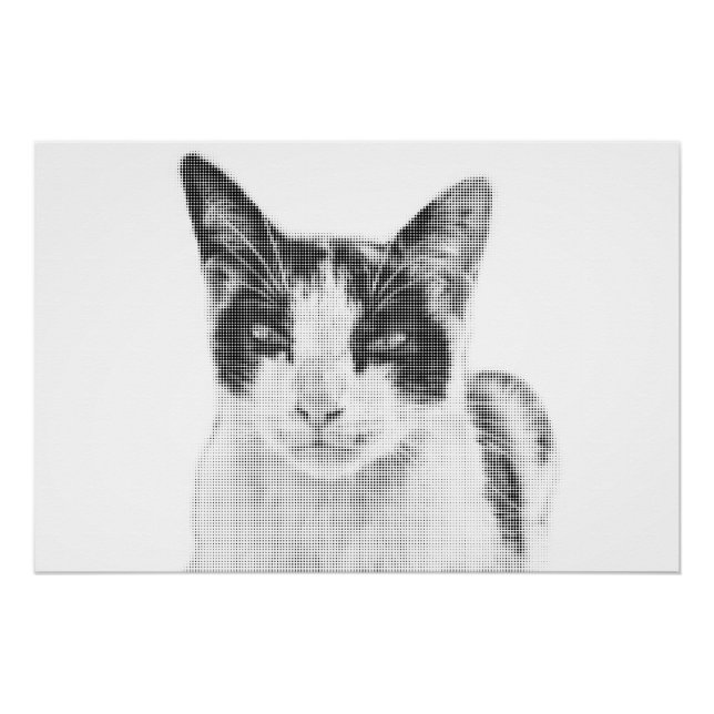 Poster Calico Cat Comic Halftone (Devant)