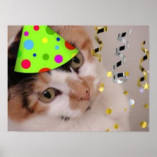 Poster Calico Cat fête d'anniversaire