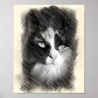 Poster Calico Cat Sketch Art - Feline Portrait Drawing