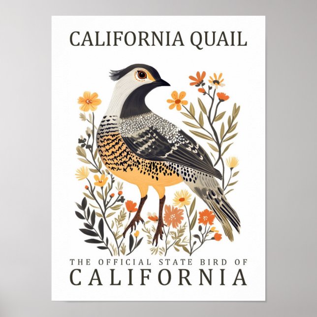 Poster California Quail Bird of California USA Travel (Devant)