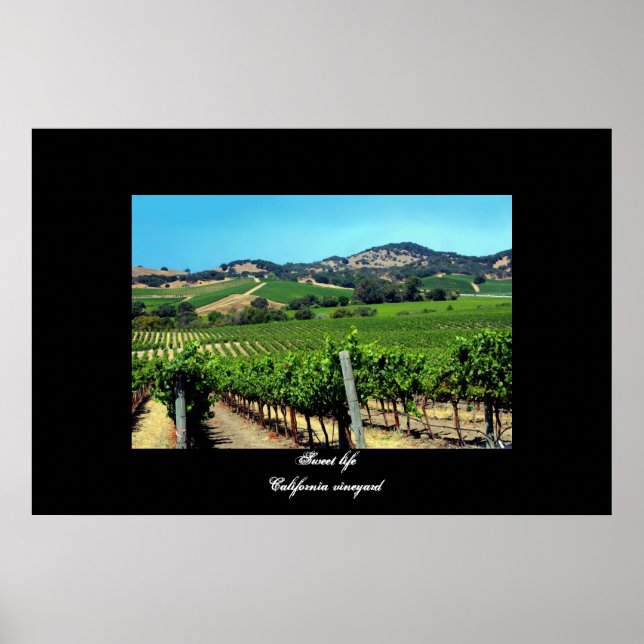 Poster "California vineyard" (Vorne)