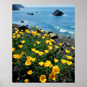 Poster Californie, Big Sur Coast, Central Coast 1