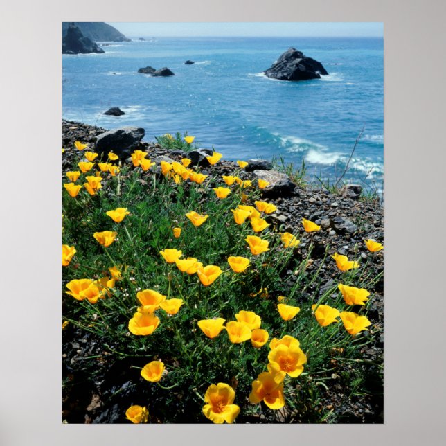 Poster Californie, Big Sur Coast, Central Coast 1 (Devant)