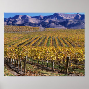 Poster Californie, comté de San Luis Obispo, vallée d'Edn