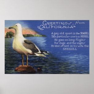 Poster Californie - Salutations de, Poème Seagull