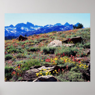 Poster Californie, Sierra Nevada Mountains 1