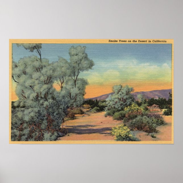Poster CalifornieVue des arbres fumés dans le désert (Devant)