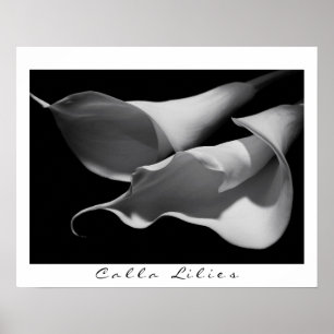Poster Calla Lilies en B&W