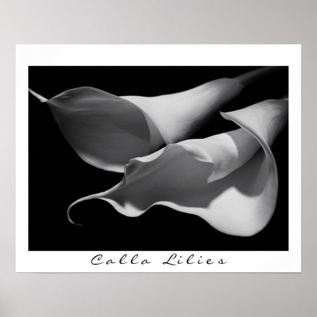 Poster Calla Lilies en B&W (Devant)