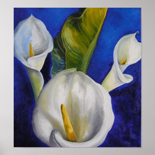Poster calla lilly (Devant)