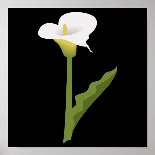 POSTER CALLA LILY (Devant)
