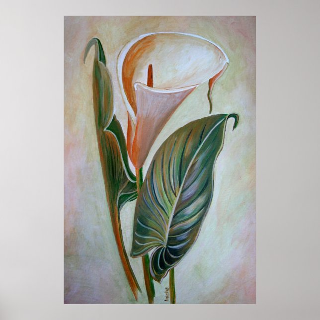 Poster Calla Lily Beau Art Botanique (Devant)