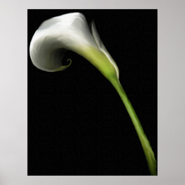 Poster Calla Lily Prints (Devant)