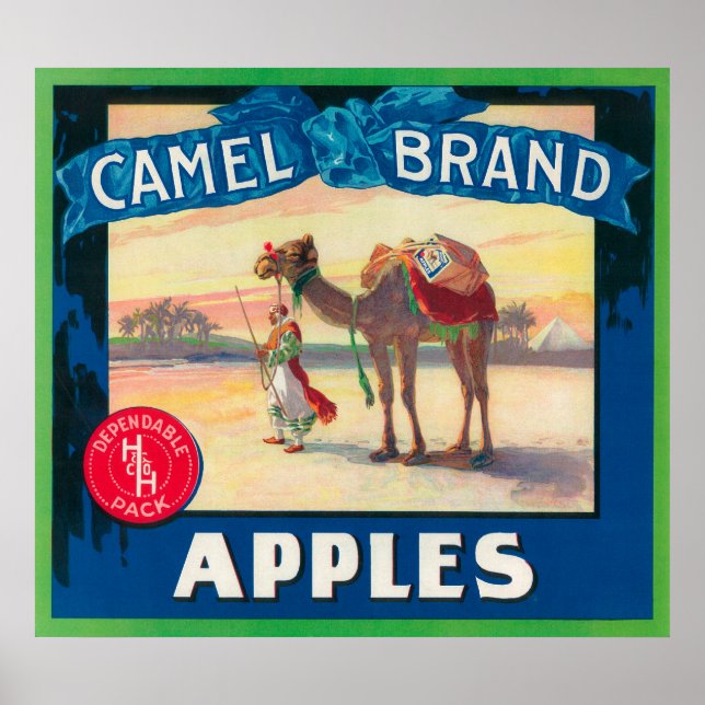 Poster Camel Apple Étiquette - État de Washington (Devant)
