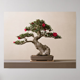 Poster Camélia Sasanqua Bonsaï Art Imprimé Japonais